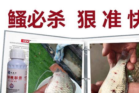 锚头鳋速净使用方法