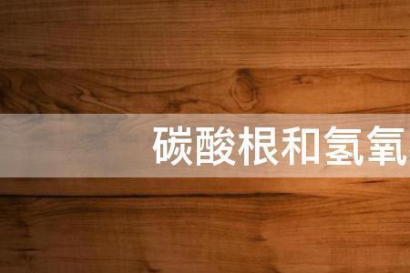 氢氧根与什么共存