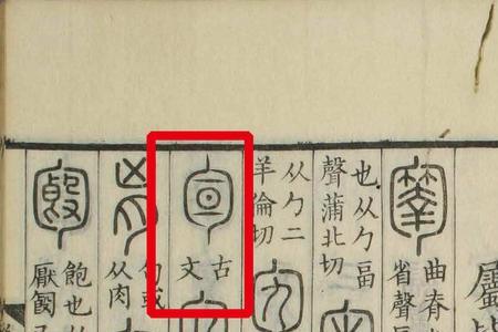 一个木一个旬什么字