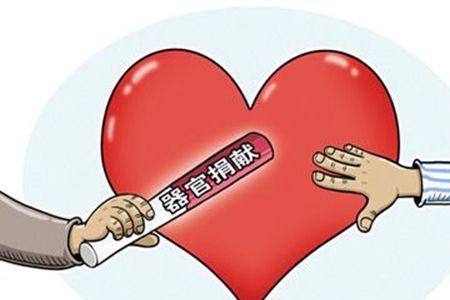 大连遗体器官捐献如何办理