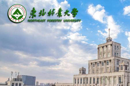 东北林业大学非法学考生多吗