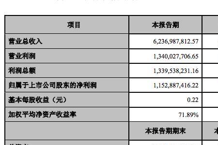 财年净利润什么意思