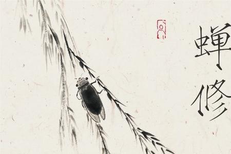 禅韵的作曲时间
