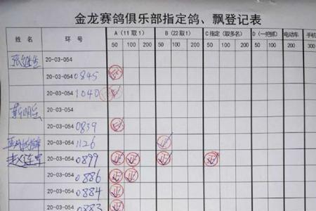 赛鸽奖金分配方法
