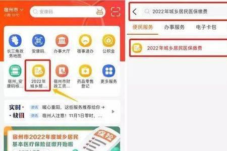 贵州城乡医保怎么网上缴费