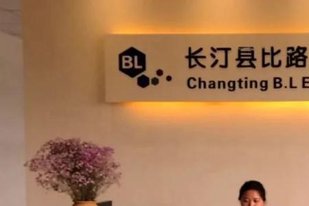 上海比路电子厂是做什么产品的