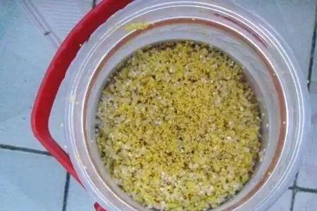 丁香酒米夏天好用吗