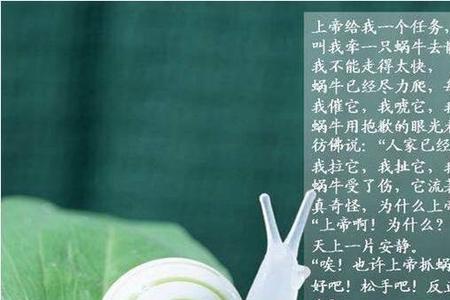蜗牛能闻到花香吗