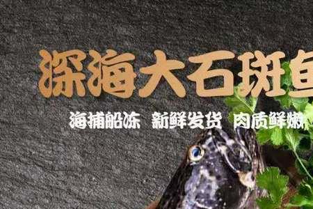 珍珠石斑鱼过冬注意事项