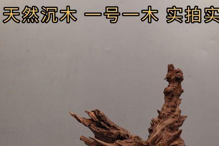 龙骨木可以做鱼缸沉木吗