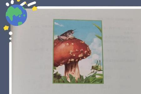 昆虫记中大孔雀蝶该怎么画