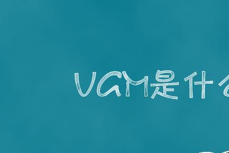 海运ccam是什么费用