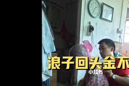 浪子回头金不换指什么生肖