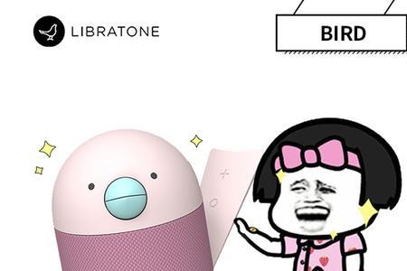小鸟蓝牙音箱连不上怎么办