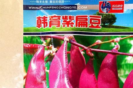 紫扁豆的种类有哪些