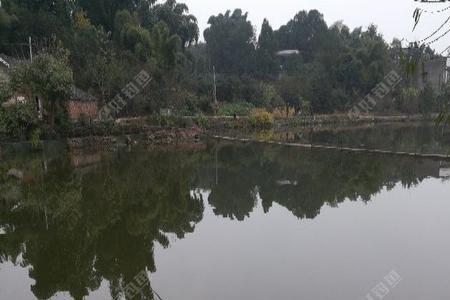 自贡李白河有什么鱼