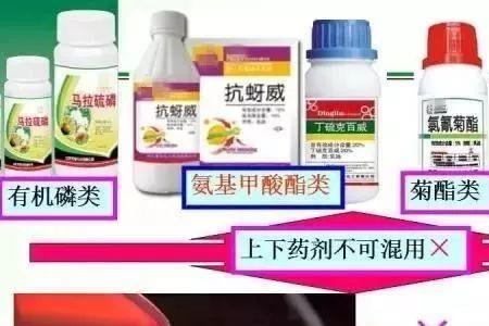 代森锰锌和溴菌腈能混配吗
