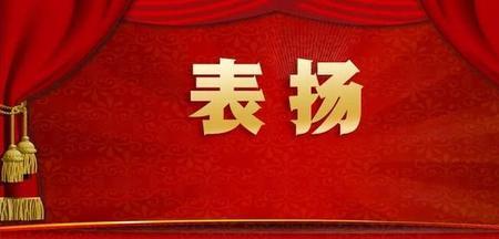 通报表扬的近义词
