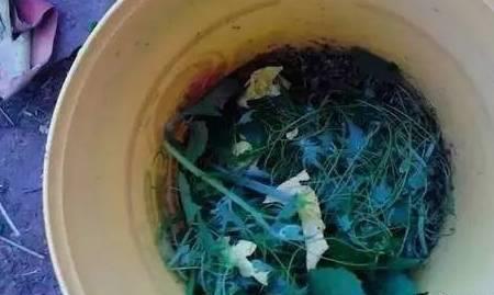 含盐的剩菜剩饭能沤肥吗