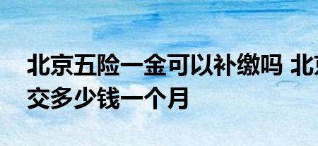 北京可以一次性补缴社保吗