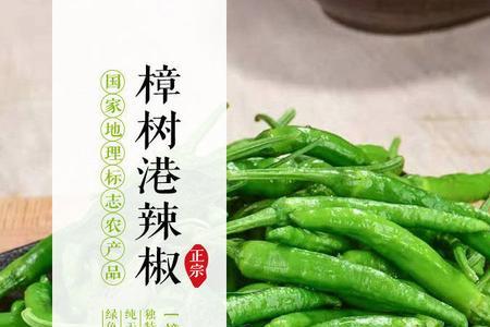 樟树港辣椒什么时候种