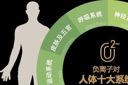 负离子调节是什么意思