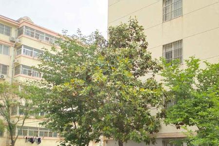 小学对面的小区楼下适合做什么
