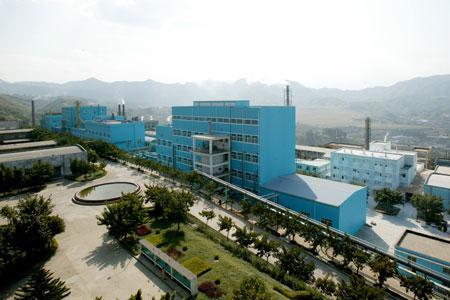 盛丰钛业怎么样