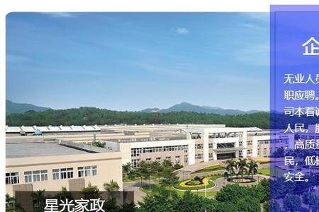 泸州家政公司招聘