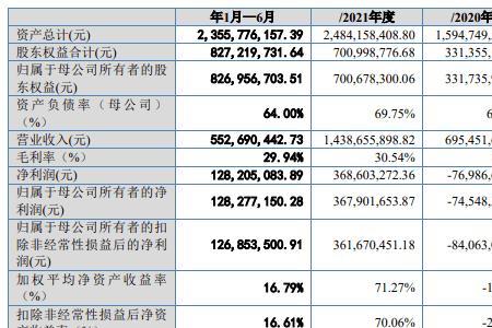 总发行人什么意思