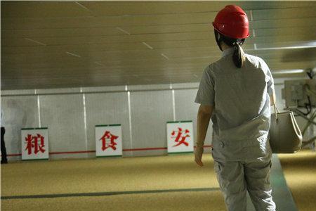 中储粮正式工好考吗