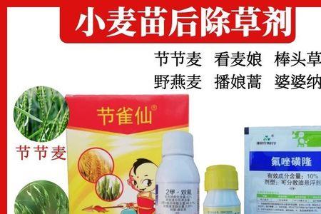 专治节节麦除草剂
