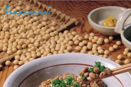 为什么纳豆吃起来苦苦的