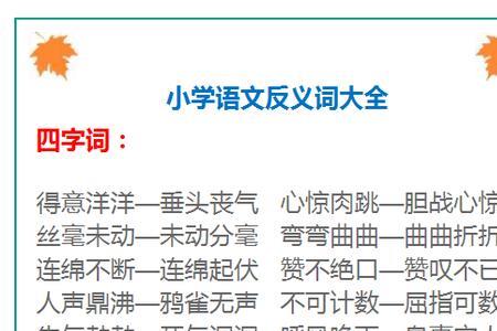 写作业要认真不能马虎反义词