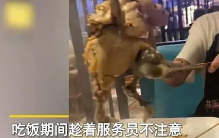 传菜员累不累怎么样