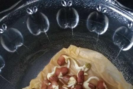 红豆可以生豆芽吗