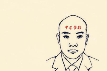 甲字脸男性格
