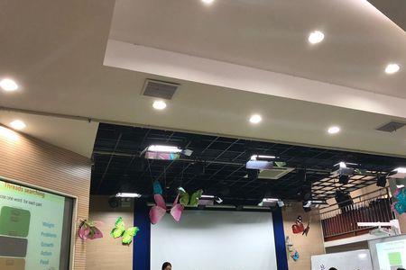 开开华彩教育靠谱吗