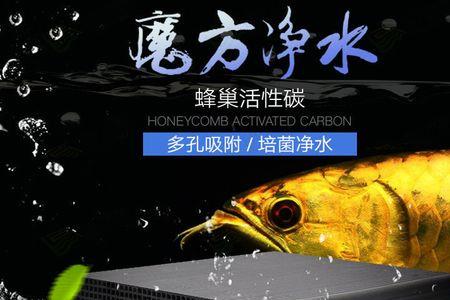 龙鱼缸滤材清洗后怎么处理