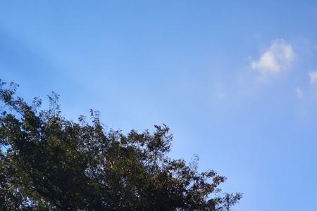 九月揽天的意思