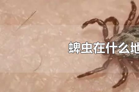 蜱虫有黄色吗