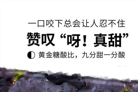 巨峰葡萄酿酒口感如何
