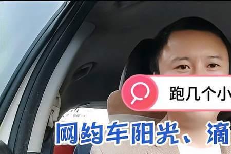 滴滴花小猪哈罗哪个好