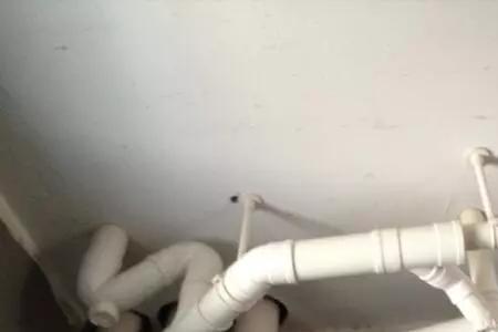 卫生间下水管归属权