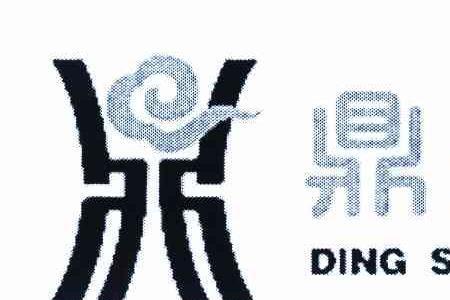鼎盛金融是正规公司吗