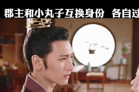 花好月又圆小丸子的配音