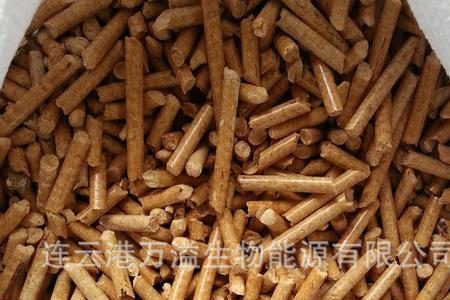 松木锯末子能种蘑菇吗