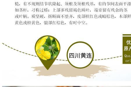 黄连要炒多久