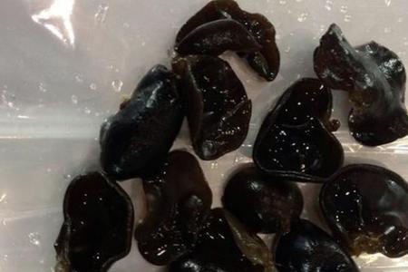 一片木耳还是一朵木耳