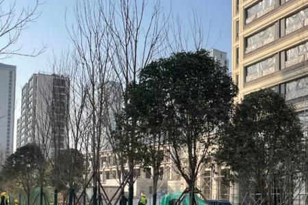 西安名流水晶宫产权年限